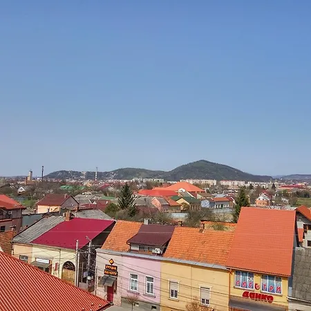 Apartment Best Two Mukacheve